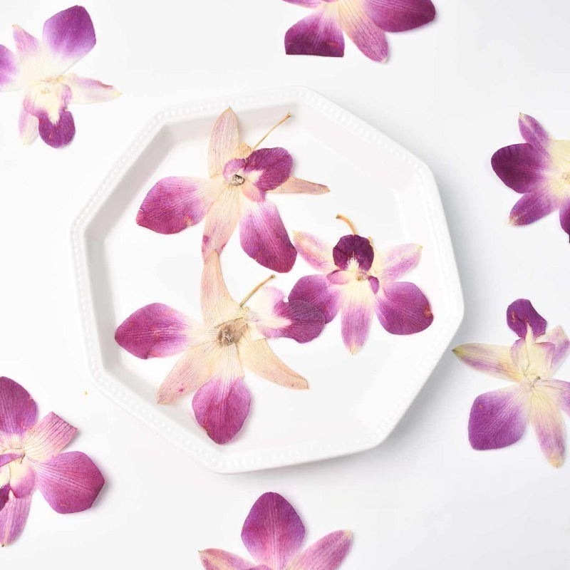Resin Art Photo Frame - 4 adet, Gerçek Preslenmiş Kelebek Orkide