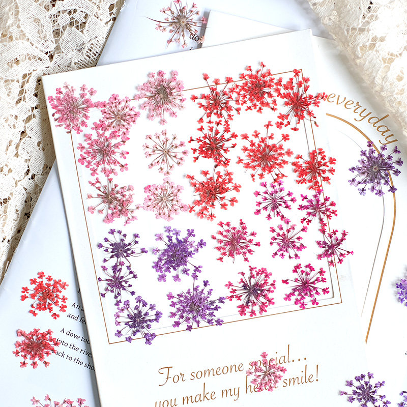 Resin Art Photo Frame - 24 adet, 2-2.5cm, Doğal Boyalı Mini