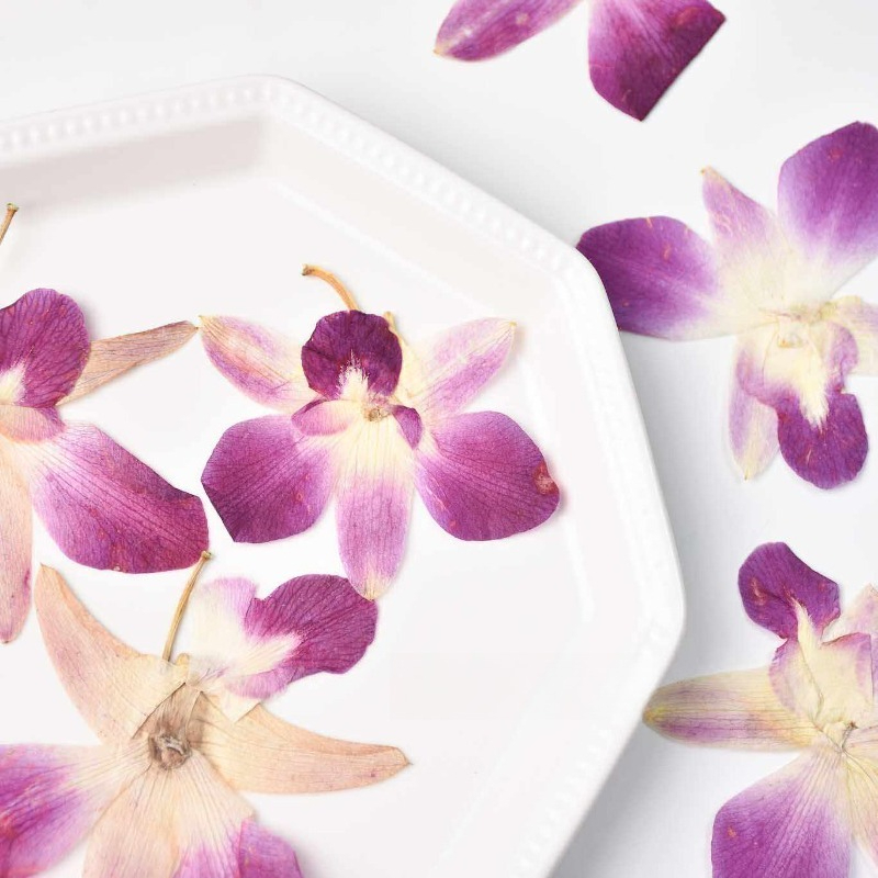 4 adet, Gerçek Preslenmiş Kele - Resin Art Photo Frame incelemesi ve fiyatı