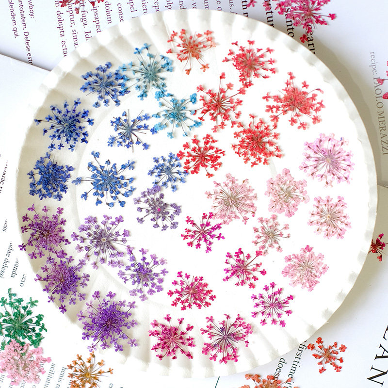24 adet, 2-2.5cm, Doğal Boyalı - Resin Art Photo Frame incelemesi ve fiyatı